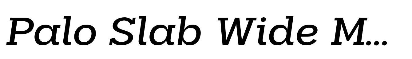 Palo Slab Wide Medium Italic